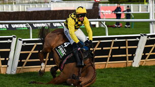 <p>CARNAGE: State Man, with Paul Townend up, fall at the last fence during the Champion Hurdle. Pic: David Fitzgerald/Sportsfile</p>