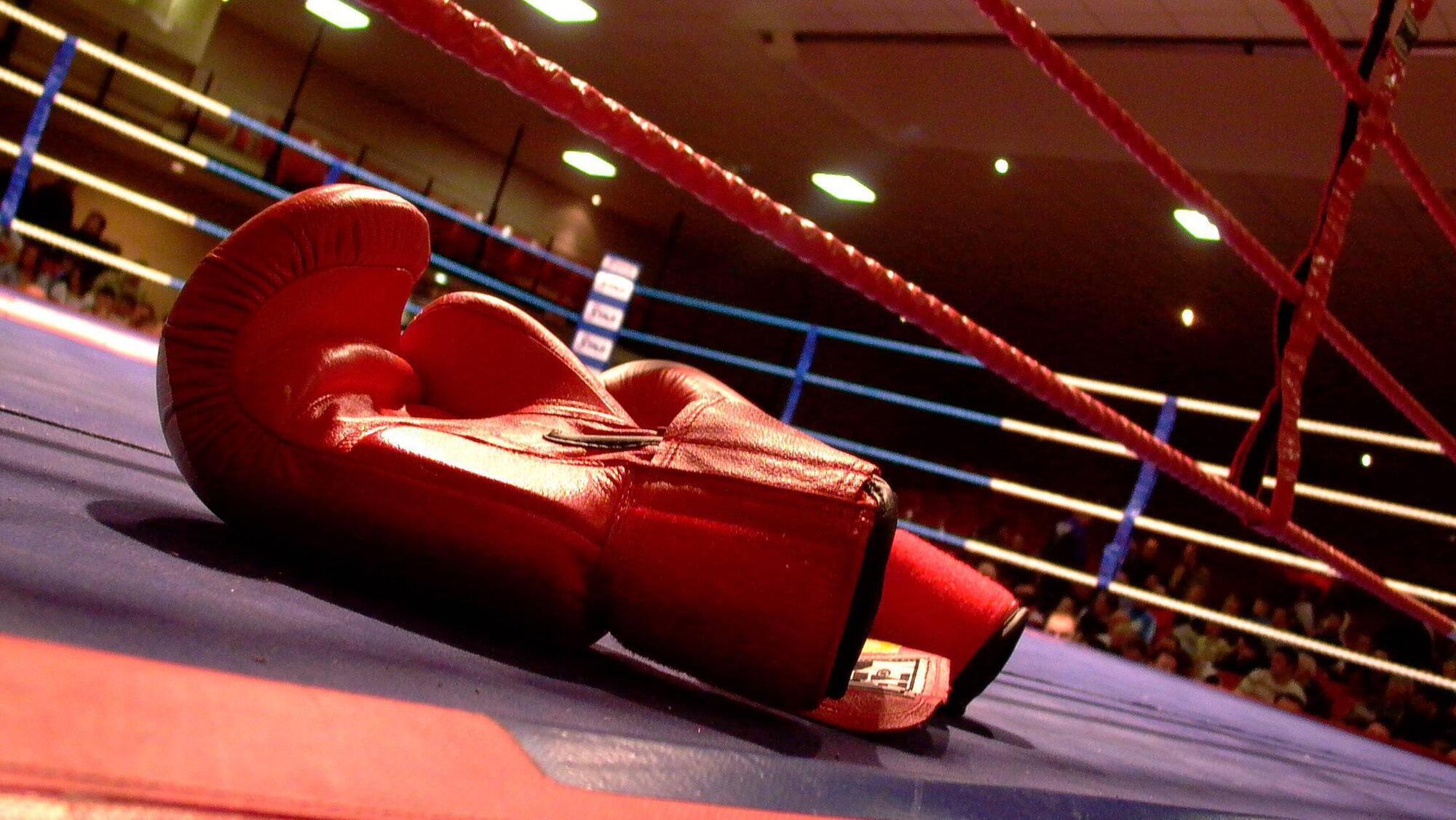Boxing coach in Munster stood down after claim of sexual misconduct with young female