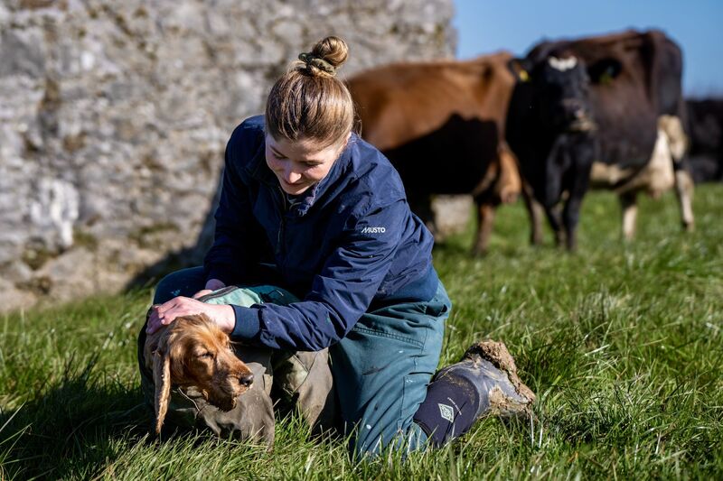 Zoe Newnham with her constant companion ‘Haz’ herds the 250 milking cows back to the grassy pastures on the hill in Coolmore. Picture: Chani Anderson