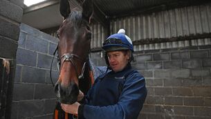 <p>BACKS TO THE WALLPARK: The Wallpark and Jody McGarvey at Gordon Elliott's Cullentra Stables. Pic: Healy Racing</p>