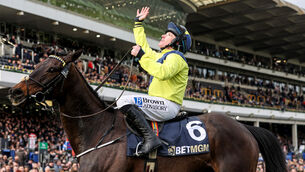 <p>POIGNANT WINNER: Sean Flanagan looks up to the sky on Marine Nationale. Pic: Tom Maher/Inpho</p>