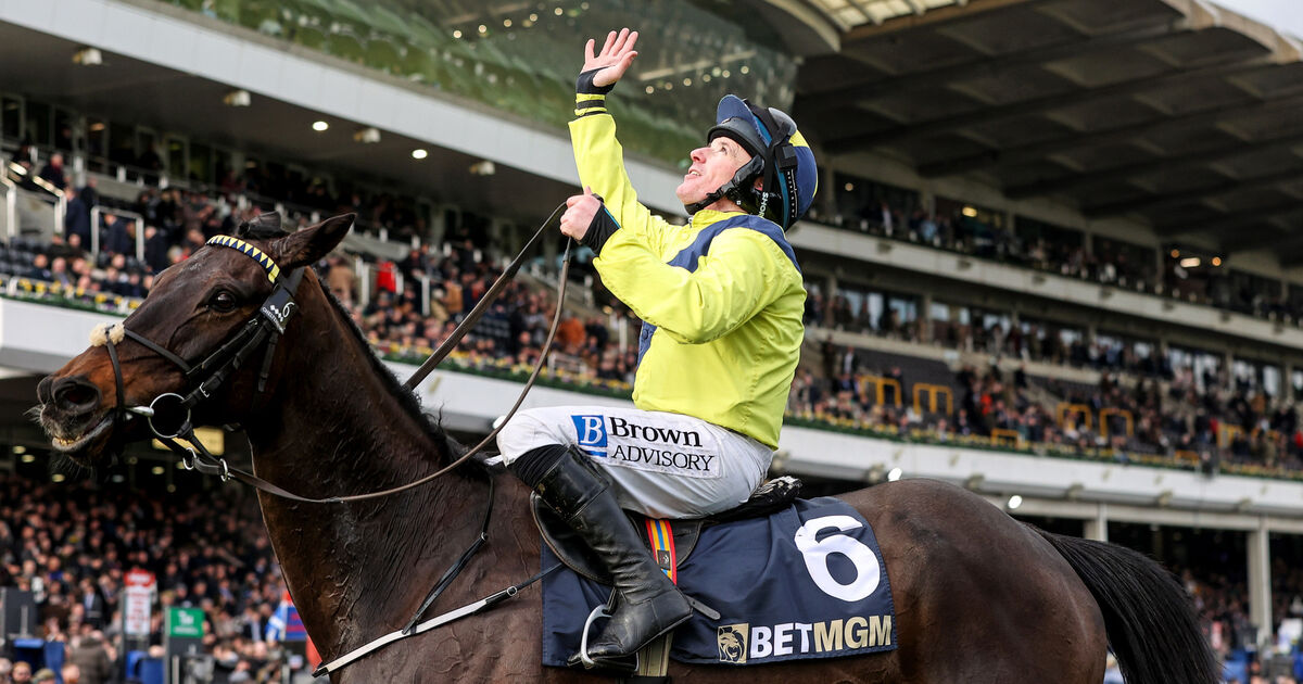 As it happened: Cheltenham Festival day 2 news and reaction
