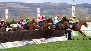 <p>BACK IN THE GAME: Stellar Story finishing second to Lecky Watson in the Brown Advisory Novices' Chase sparked some hope for your correspondent. Pic: David Davies for The Jockey Club/PA Wire.</p>