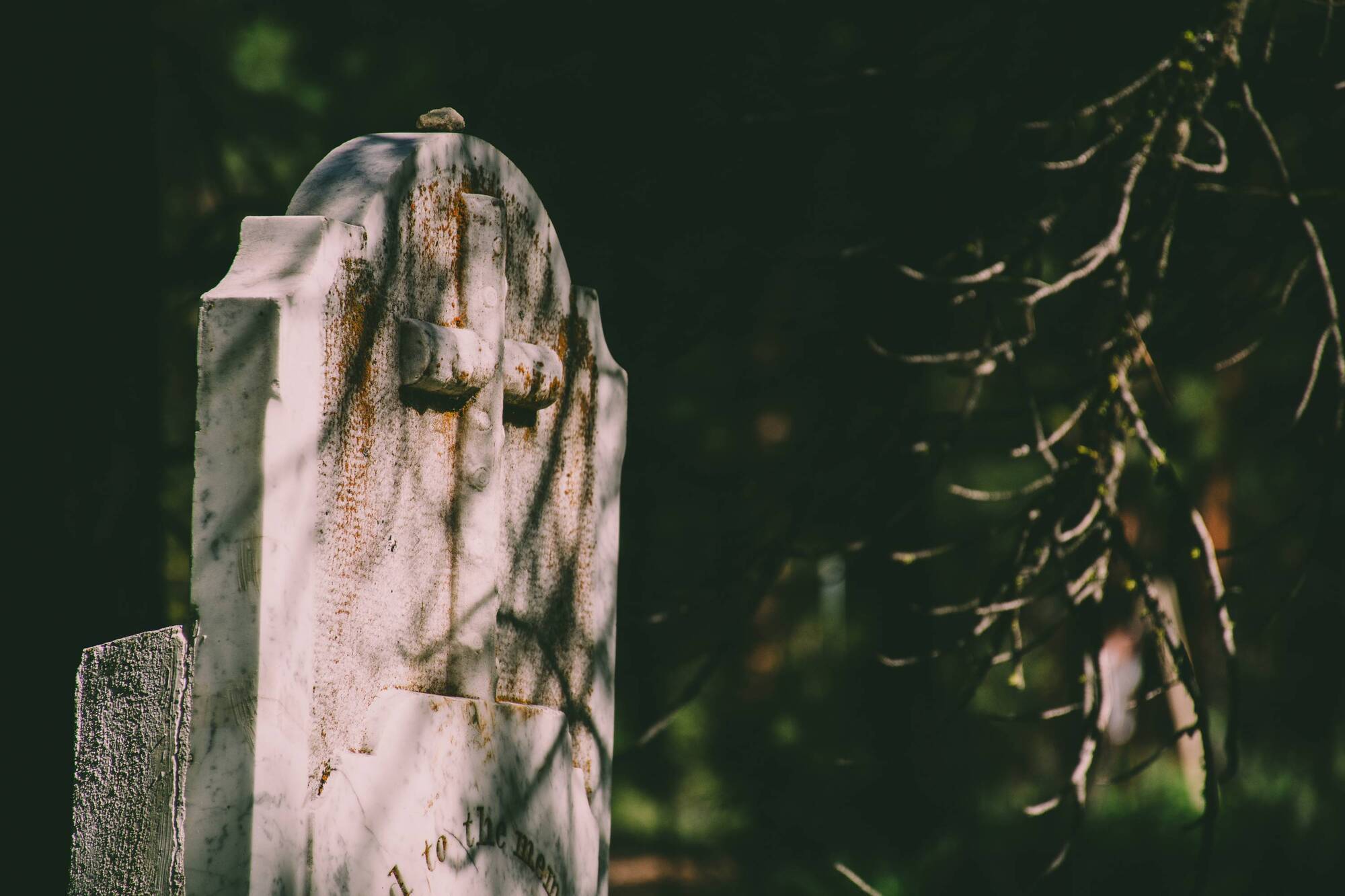 Cork cemetery wall for urns containing ashes looks like 'it was thrown up', says councillor