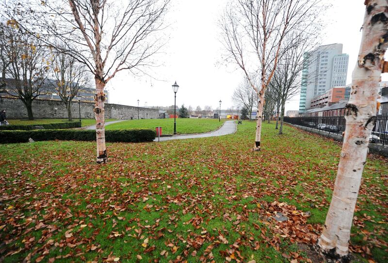 Shalom Park Picture: Denis Minihane