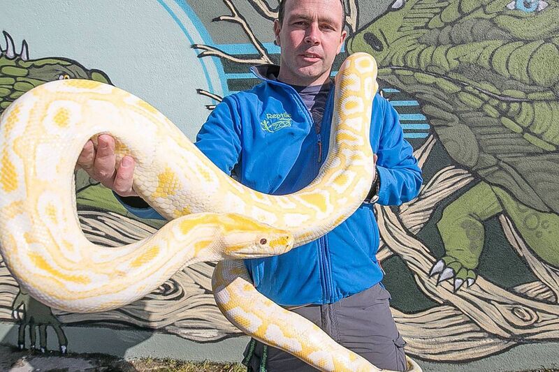 James Hennessy with Rascal the python: 'There won’t be anything done until somebody dies.' Picture: Pat Moore
