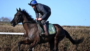 <p>ON THE BRINK: Galopin Des Champs pictured in his stable at Willie Mullins' Closutton. Pic: Healy Racing</p>
