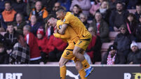 Southampton v Wolverhampton Wanderers - Premier League - St. Mary's Stadium
