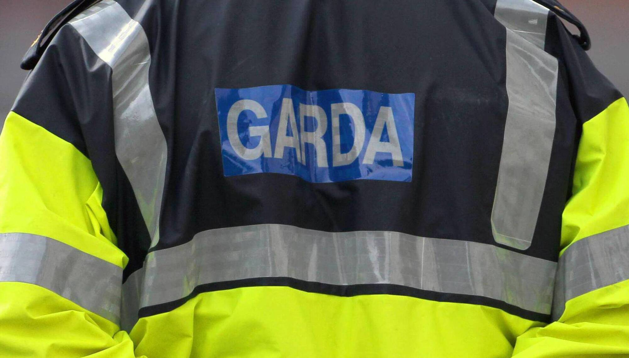 Judge rules that gardaí did not act unreasonably during alleged 'assault' incident