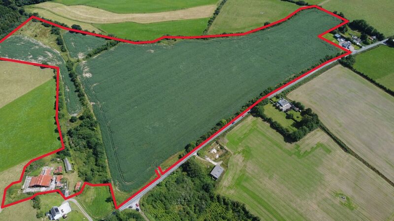 36-acre quality East Cork holding already under offer 36-acre quality East Cork holding already under offer