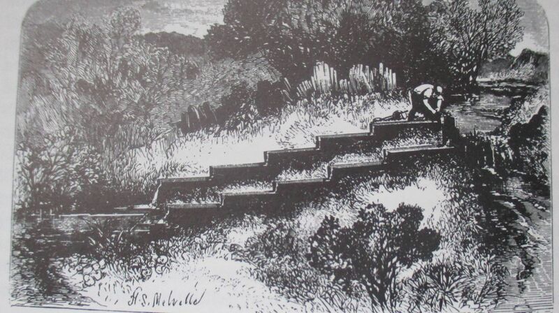 Engraving of the original hatchery boxes from 1852 Engraving of the original hatchery boxes from 1852