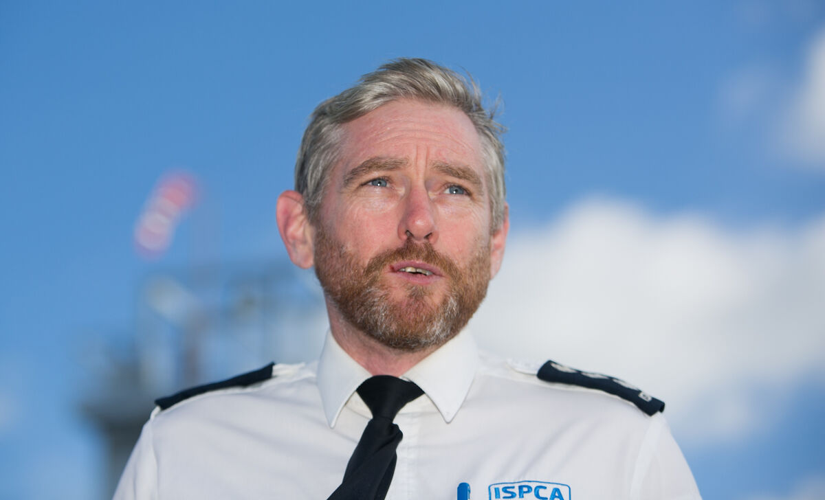 ISPCA chief inspector Conor Dowling. ISPCA chief inspector Conor Dowling.