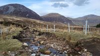 Stiff competition but Connemara is one of the most degraded landscapes in Ireland