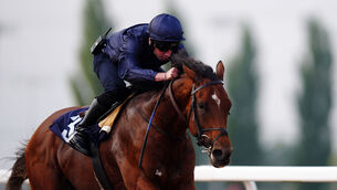 <p>GOING DOWN UNDER: Breeders in Australia will soon have the chance to tap into City Of Troy after Coolmore announced last year's Derby hero will shuttle to the southern hemisphere. 	Picture: Mike Egerton/PA</p>