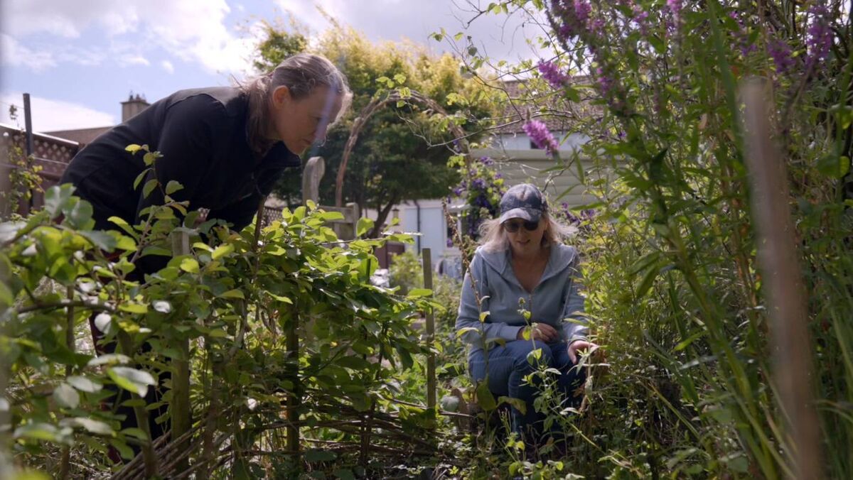 'There is always something you can do to help bats. Water is helpful like a pond, choosing native plants too, the hawthorn is a great support to our native nocturnal pollinators. If you mow your lawn a little bit less, it will allow for more insects who can hatch there.' Picture: Speed Motion Film