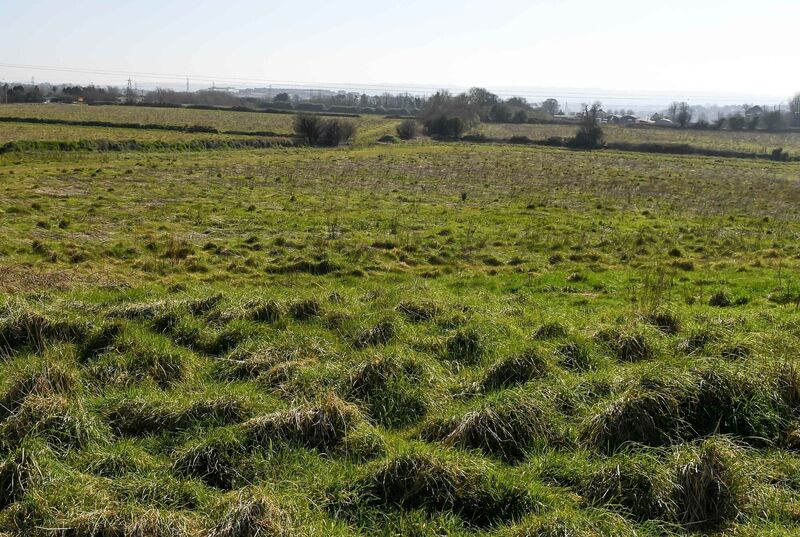  A view towards Cork City from the top of Murphy's Rock near Dublin Hill. File picture: David Keane