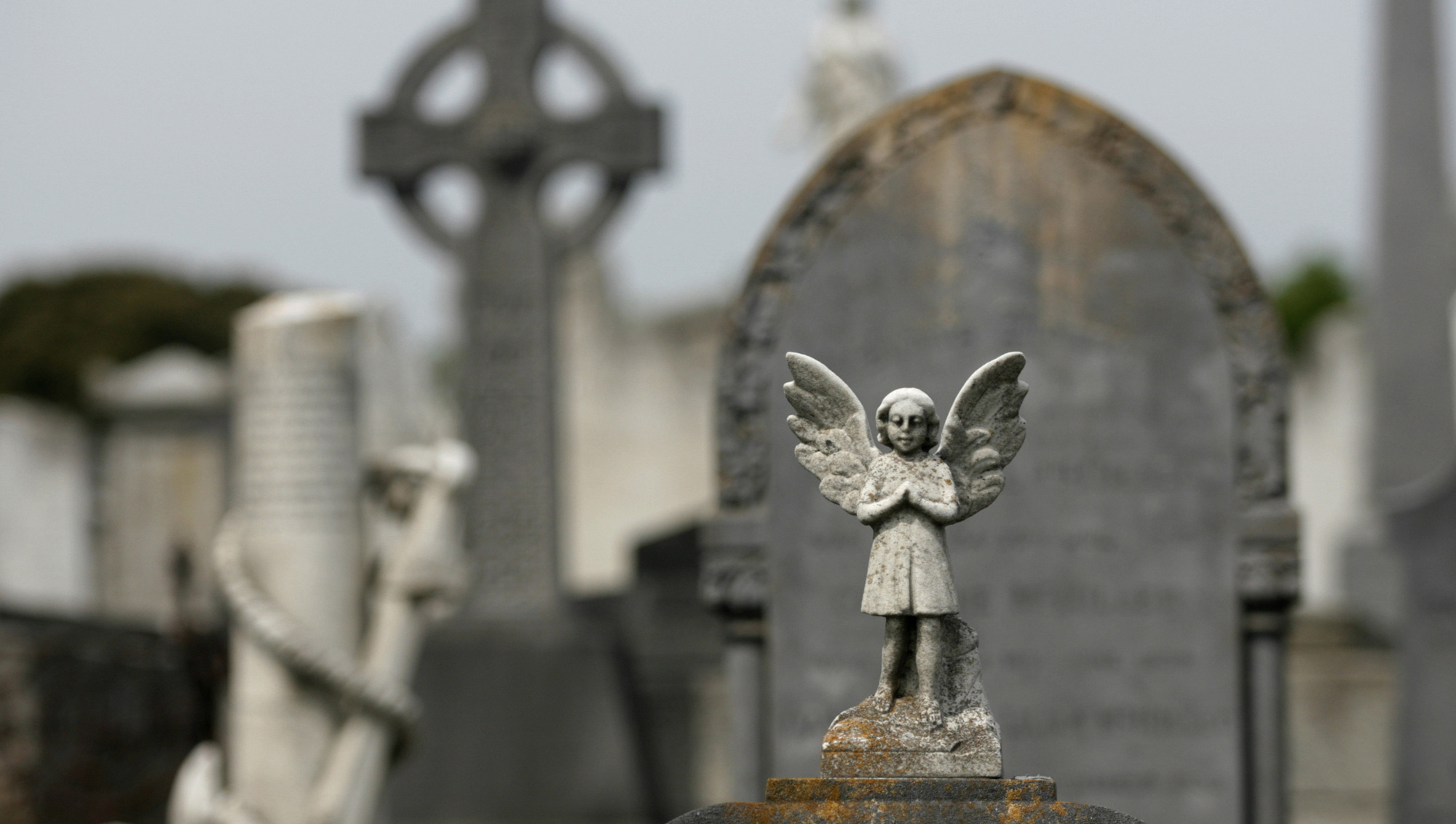 Mount Jerome Cemetery in Dublin where the unmarked graves of 40 children from Bethany House were discovered in 2010. File picture: Mark Stedman/RollingNews