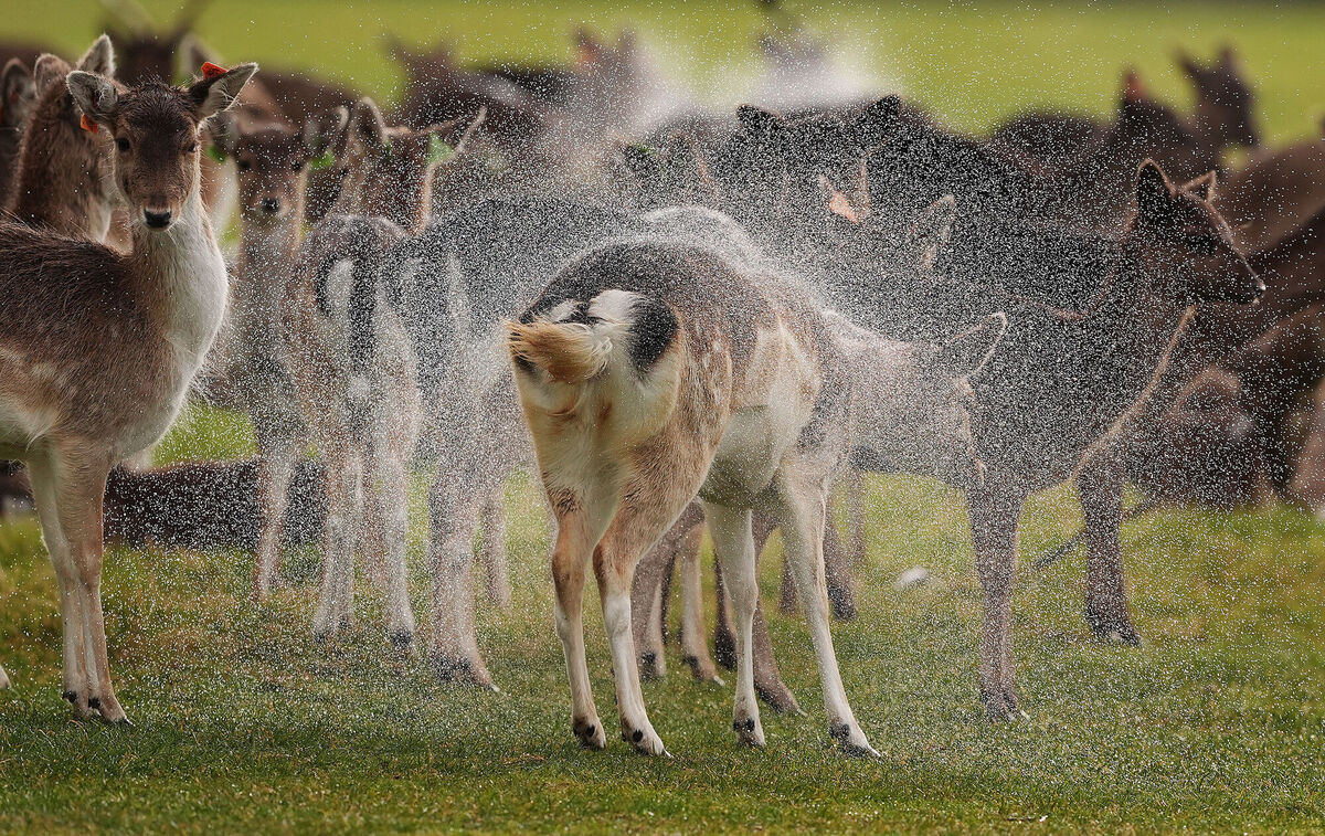 March 2025 was the driest on record in some places and we had above average sunshine, with temperatures hitting 19°C in Mount Dillon, County Roscommon