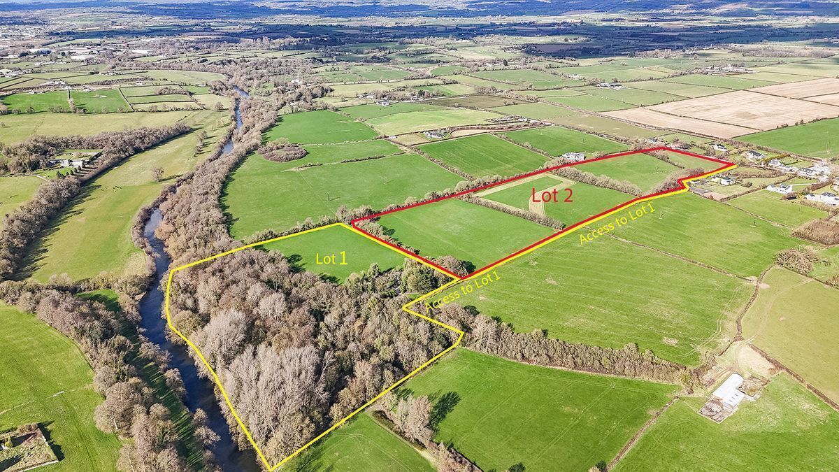 Marked aerial view of the 46-acre farm for auction at Nore Cottage, Dunbell, Co Kilkenny.