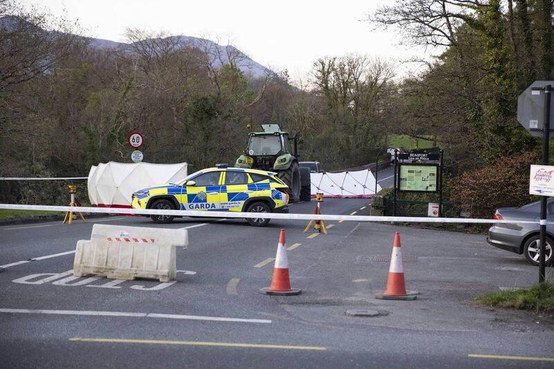The road was closed last night for a technical examination by Garda Forensic Collision Investigators, with local diversions in place. Picture: James Treacy