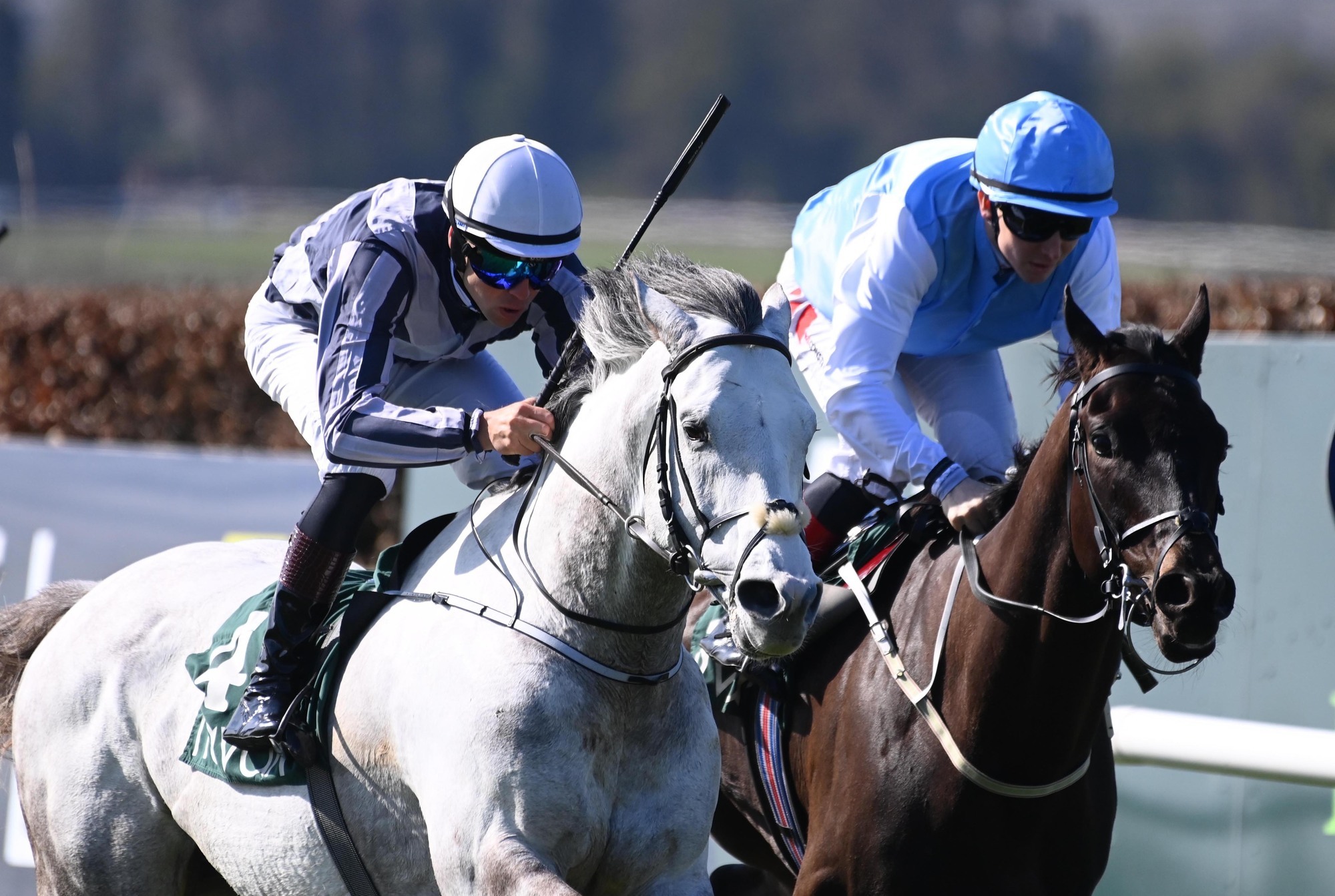 Super Saturn swings back into orbit for Jessica Harrington at Navan