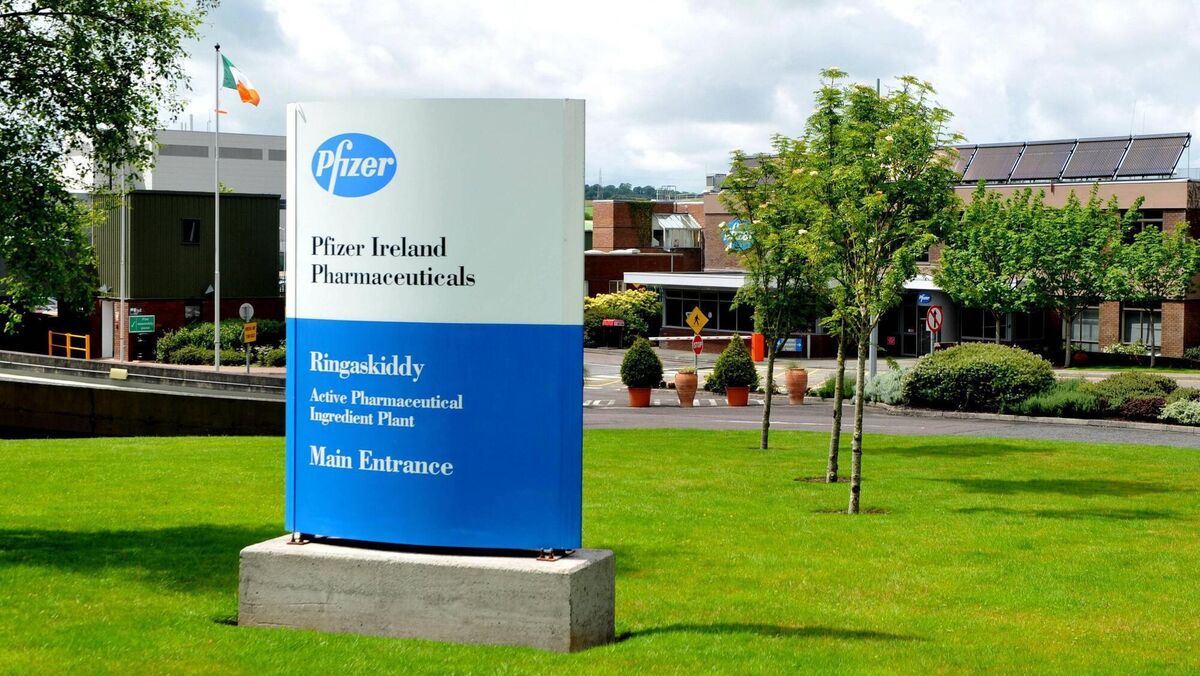 The Pfizer plant in Ringaskiddy. Picture Dan Linehan