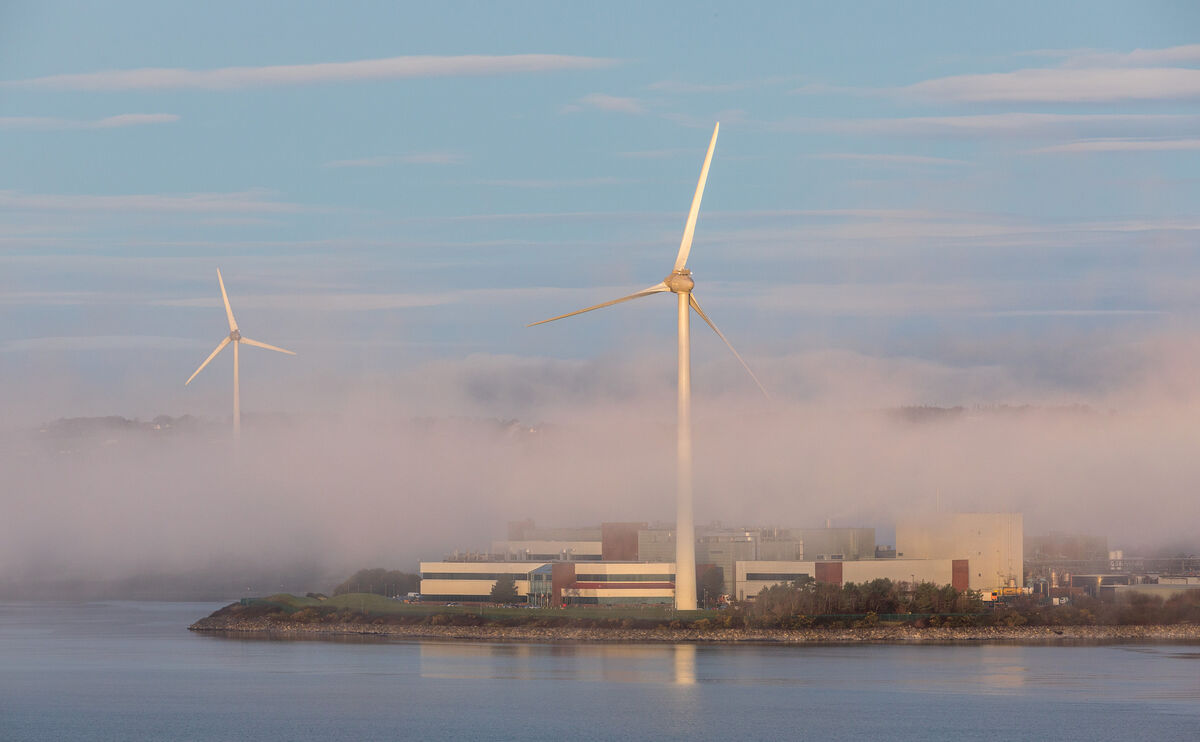 Early morning fog shrouds the DePuy Synthes/Johnson &amp; Johnson manafacturing facility at Lough Beg, Ringaskiddy. Picture: David Creedon