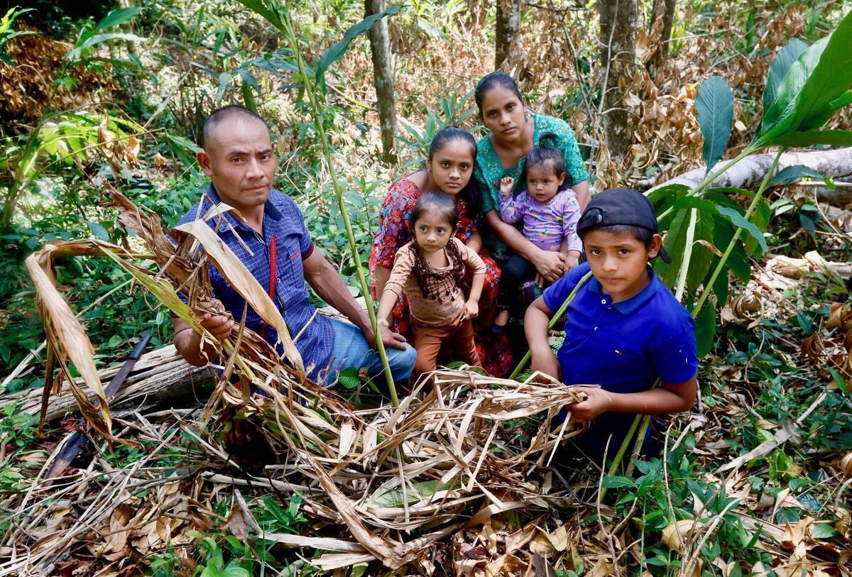 Ilma, Julio and their children with the crops that failed due to the effects of climate change. Ilma, Julio and their children with the crops that failed due to the effects of climate change.
