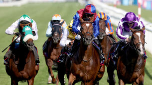 <p> Jan Brueghel and Sean Leavy win the Betfred St Leger for trainer Aidan O'Brien at Doncaster last September. Picture: Healy Racing</p>