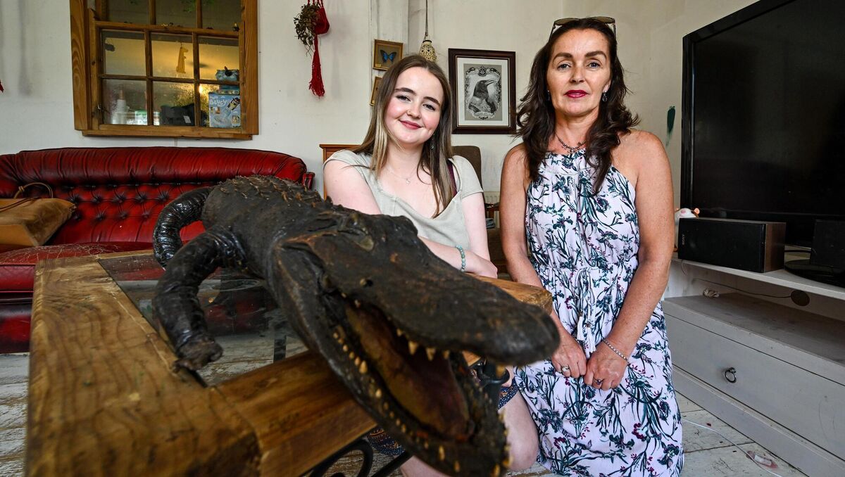 Rosa Ryan and Trish Kenny share a moment with Alibo the alligator before his restoration. Once a family oddity, Alibo is now a treasured heirloom connecting three generations of women. Picture: Chani Anderson Rosa Ryan and Trish Kenny share a moment with Alibo the alligator before his restoration. Once a family oddity, Alibo is now a treasured heirloom connecting three generations of women. Picture: Chani Anderson