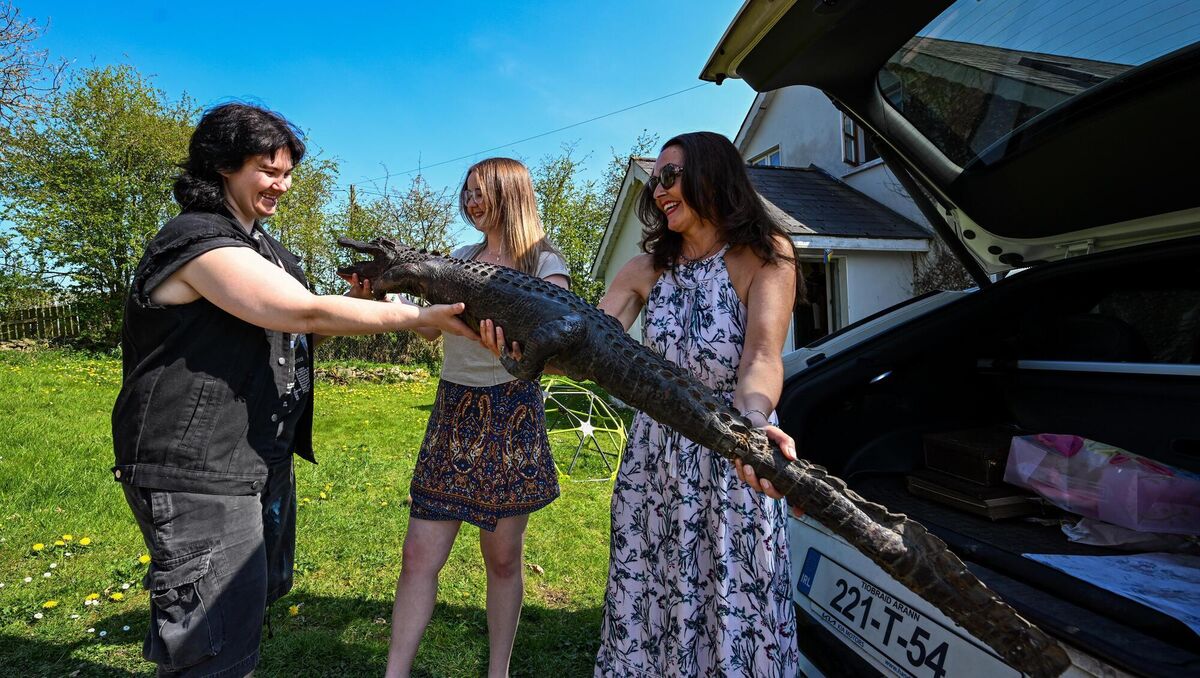 Trish Kenney and her daughter Rosa Ryan lift 100-year-old stuffed alligator Alibo from the boot of their car as they deliver him to Tam Powell of Silent Souls Taxidermy for restoration. Picture: Chani Anderson Trish Kenney and her daughter Rosa Ryan lift 100-year-old stuffed alligator Alibo from the boot of their car as they deliver him to Tam Powell of Silent Souls Taxidermy for restoration. Picture: Chani Anderson