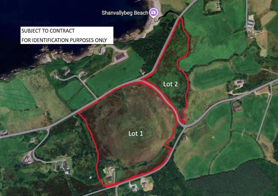 Aerial marked photo of Lots 1 and 2 of the 74-acre farm at Boolteenagh, Bantry, Co. Cork.
