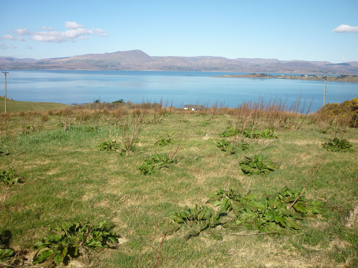 Some of the lands overlooking Bantry Bay.