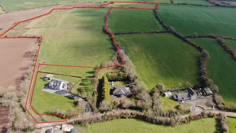 Guide price of €10k-€12k/acre for 20 acres in south Wexford