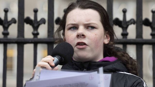 <p>Cara Darmody plans to hold the protest outside the front gates of Leinster House over two days to again try and get the government to set a date by which the HSE will commit to have a child’s special needs assessed within six months. File photo: Sam Boal/Collins Photo</p>