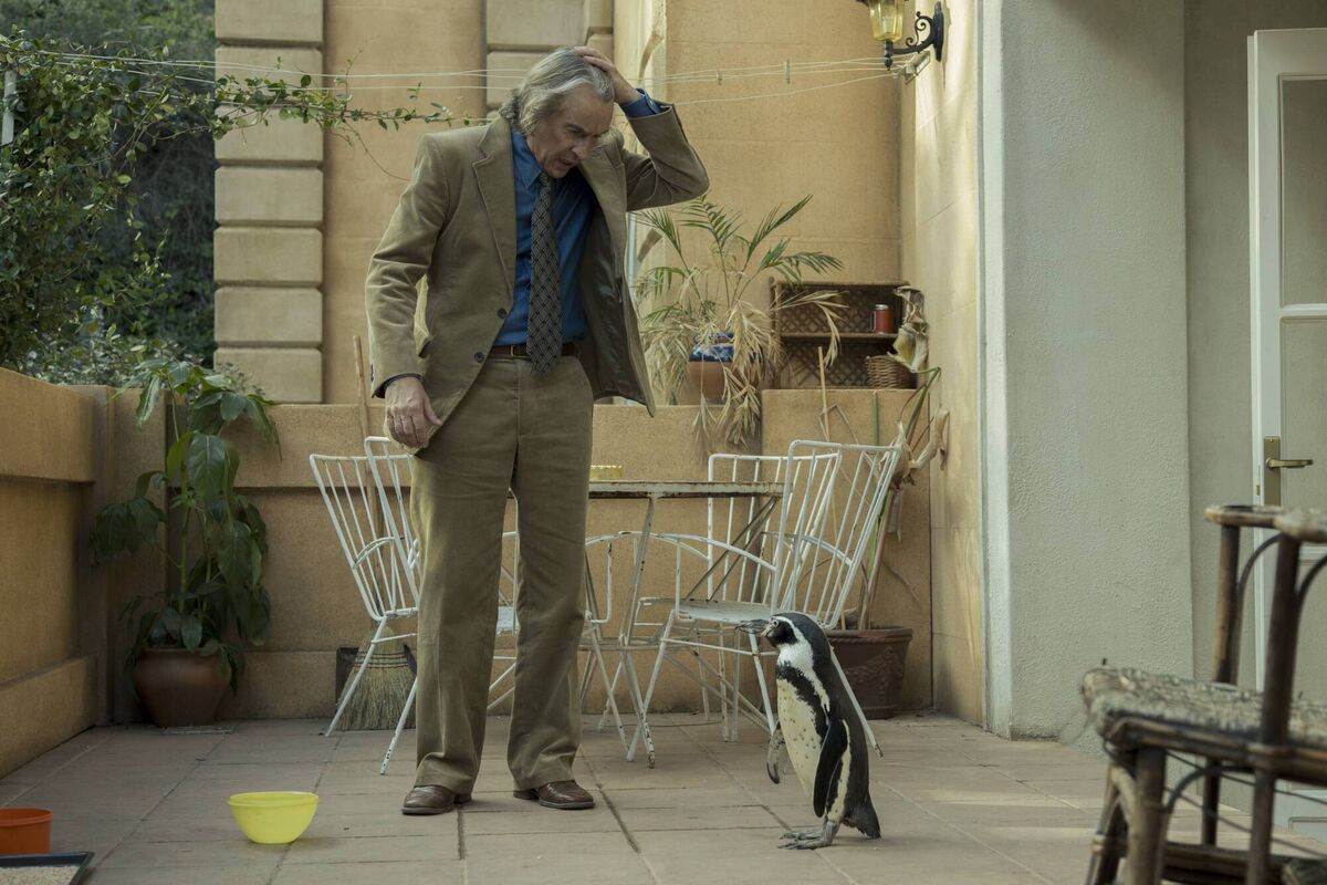 Steve Coogan in The Penguin Lessons