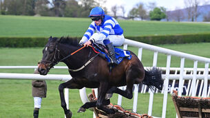 <p>UP AND OVER: Fad Eadrainn and Simon Torrens en route to winning the Botanica International Maiden Hurdle at Clonmel on Thursday. 	Picture: Healy Racing </p>