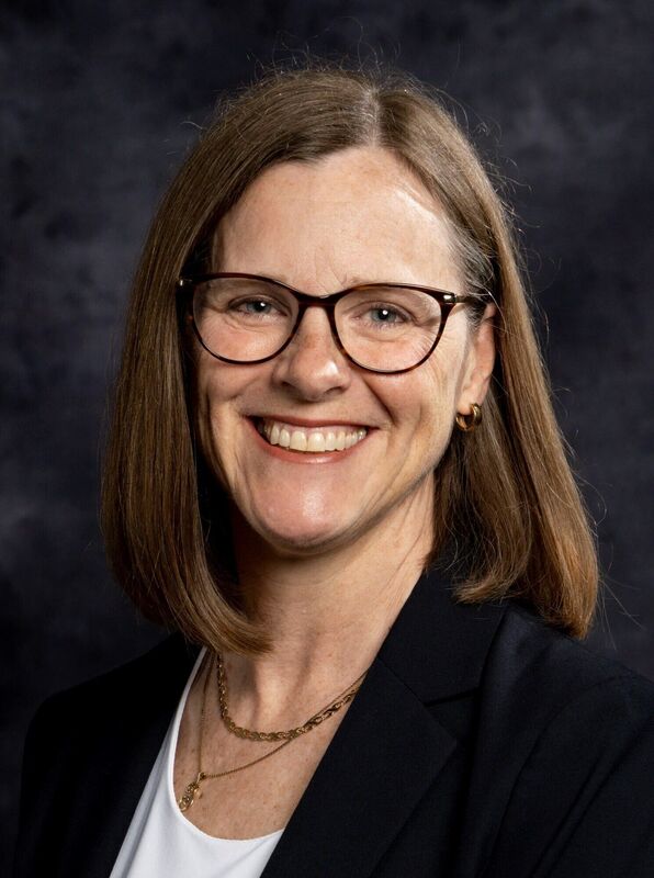 Jill Pearson, Kemmy Business School Faculty, UL. Picture: Don Moloney Jill Pearson, Kemmy Business School Faculty, UL. Picture: Don Moloney
