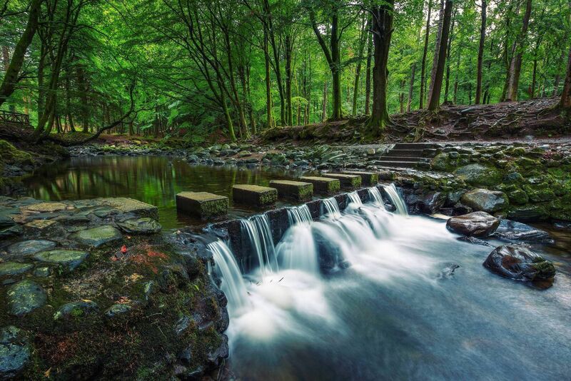 The Shimna River made of stepping stones in the Tollymore Forest Park.