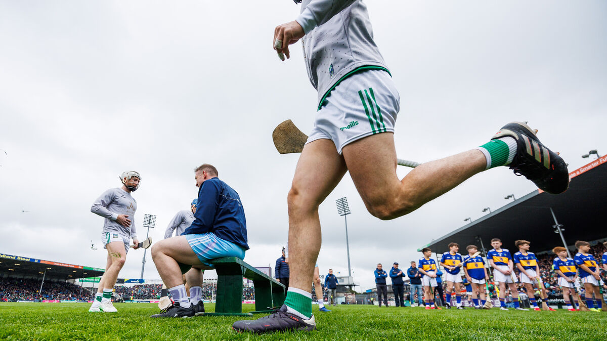 Limerick take to the field. Pic: James Crombie/Inpho