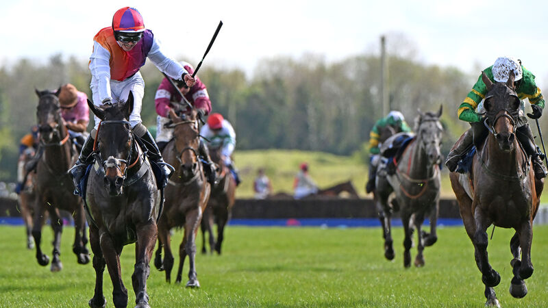 Ted Walsh reflects on 'privilege' of training Any Second Now