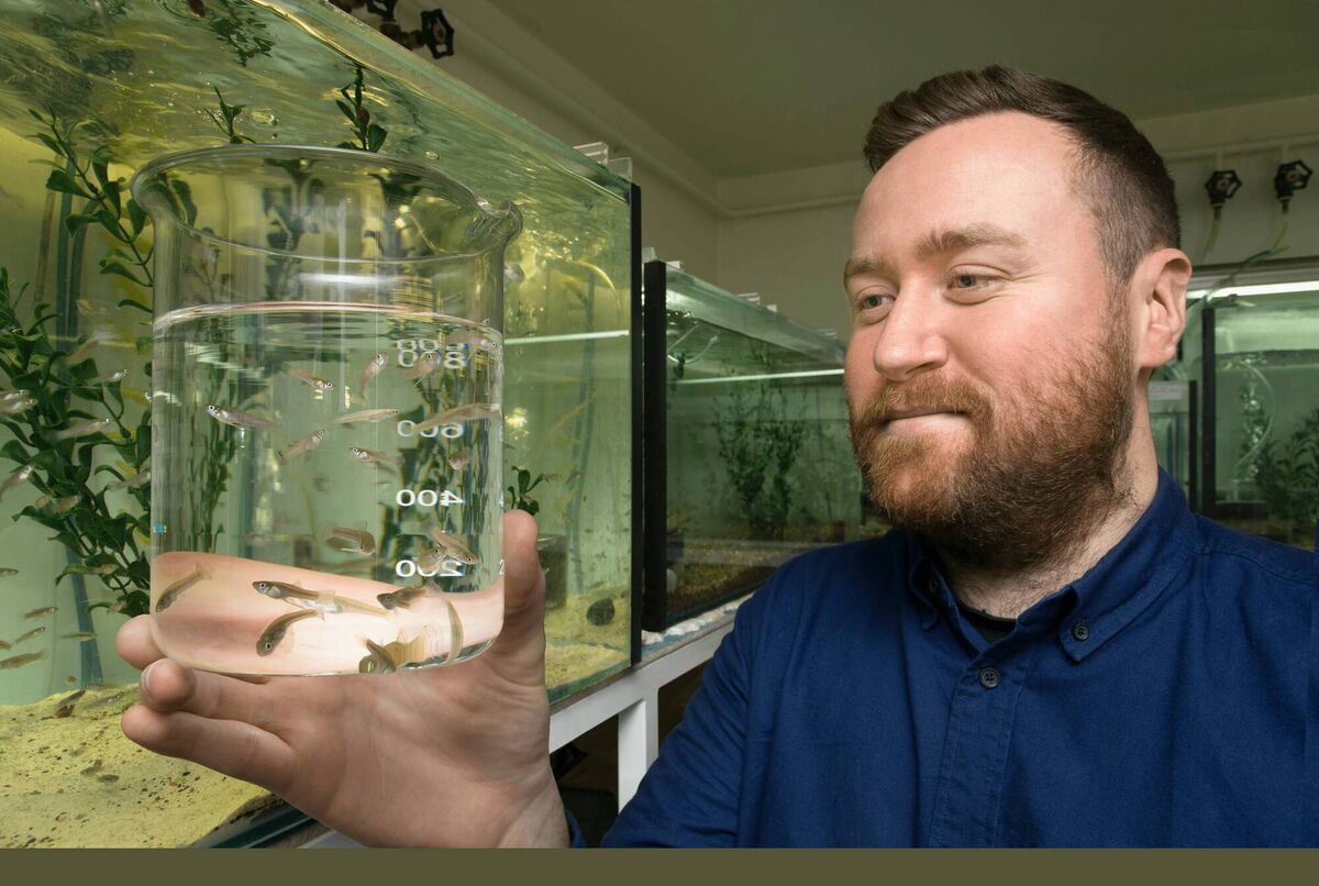 Michael Bertram: Our study is among the first to show that pharmaceutical pollution can affect not just behaviour in the lab, but outcomes for animals in their natural environment. Bertram is an assistant professor in Ecology and Ecotoxicology at the Swedish University of Agricultural Sciences