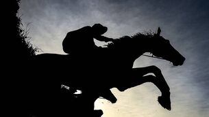 <p>Jack Davison’s filly attracted heavy support on that occasion, but she was a shade slow from stalls and consequently found herself caught behind in a bit of a pocket at a crucial juncture. Pic: Seb Daly/Sportsfile</p>