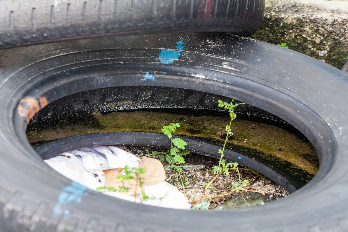 An old tire indicating a breeding ground for mosquitos. Beyond scaling up insecticidal bed nets and indoor spraying, several national control programmes across Africa have delivered rapid access to testing and treatment at grass roots level through Community Health Workers. 