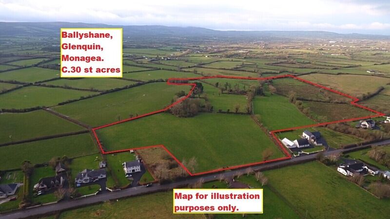 Limerick farm fetches €17,000/acre at auction