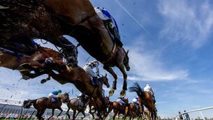 <p>Action from the first day of the Punchestown Festival. Pic: Morgan Treacy/Inpho</p>