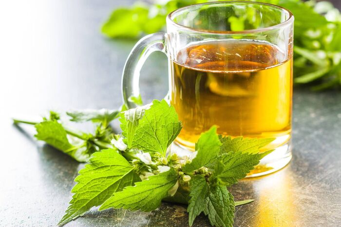 Roger’s Nettle Beer
