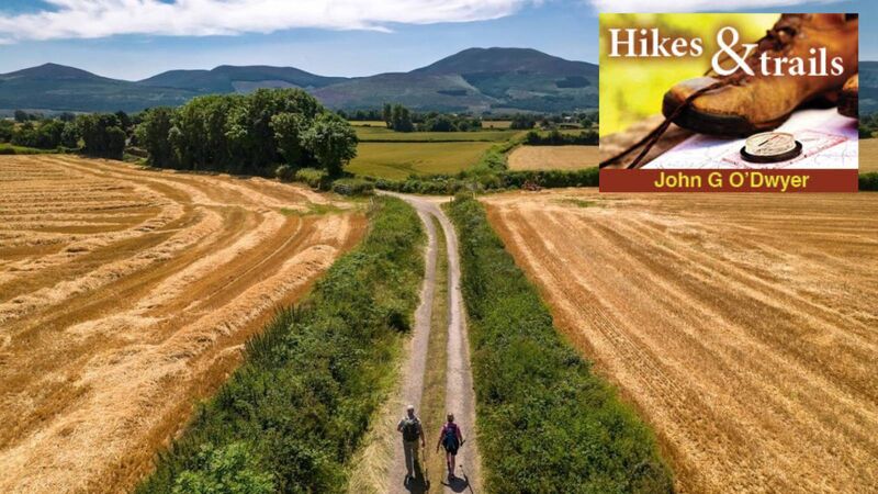 St Declan's Way is a 115-kilometre route reputed to have been walked by St Declan when he travelled to Waterford to meet with St Patrick. Pictures: John G O'Dwyer 