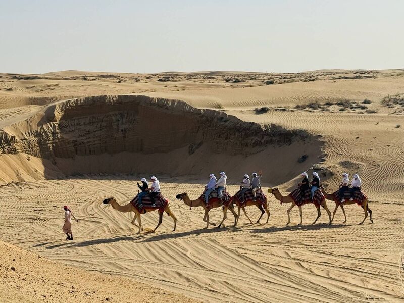 An evening heritage safari to Al Marmoom Oasis
