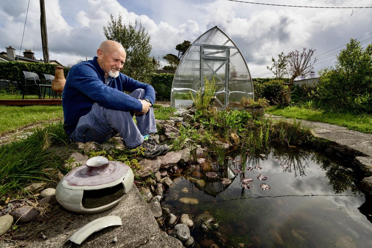 Jim Wilson, surrounded by the thriving biodiversity of his garden at Blathan, Cobh. The space, a haven for local wildlife, features a greenhouse and a pond currently brimming with frogspawn — signs of spring in full swing. Picture: Chani Anderson Jim Wilson, surrounded by the thriving biodiversity of his garden at Blathan, Cobh. The space, a haven for local wildlife, features a greenhouse and a pond currently brimming with frogspawn — signs of spring in full swing. Picture: Chani Anderson